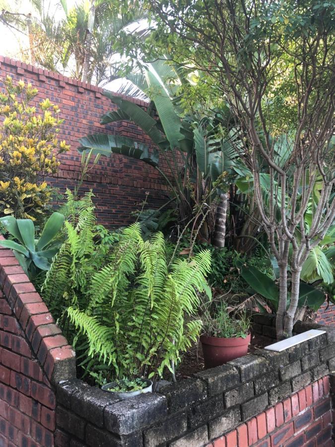 Modern Rustic Durban Apartment エクステリア 写真