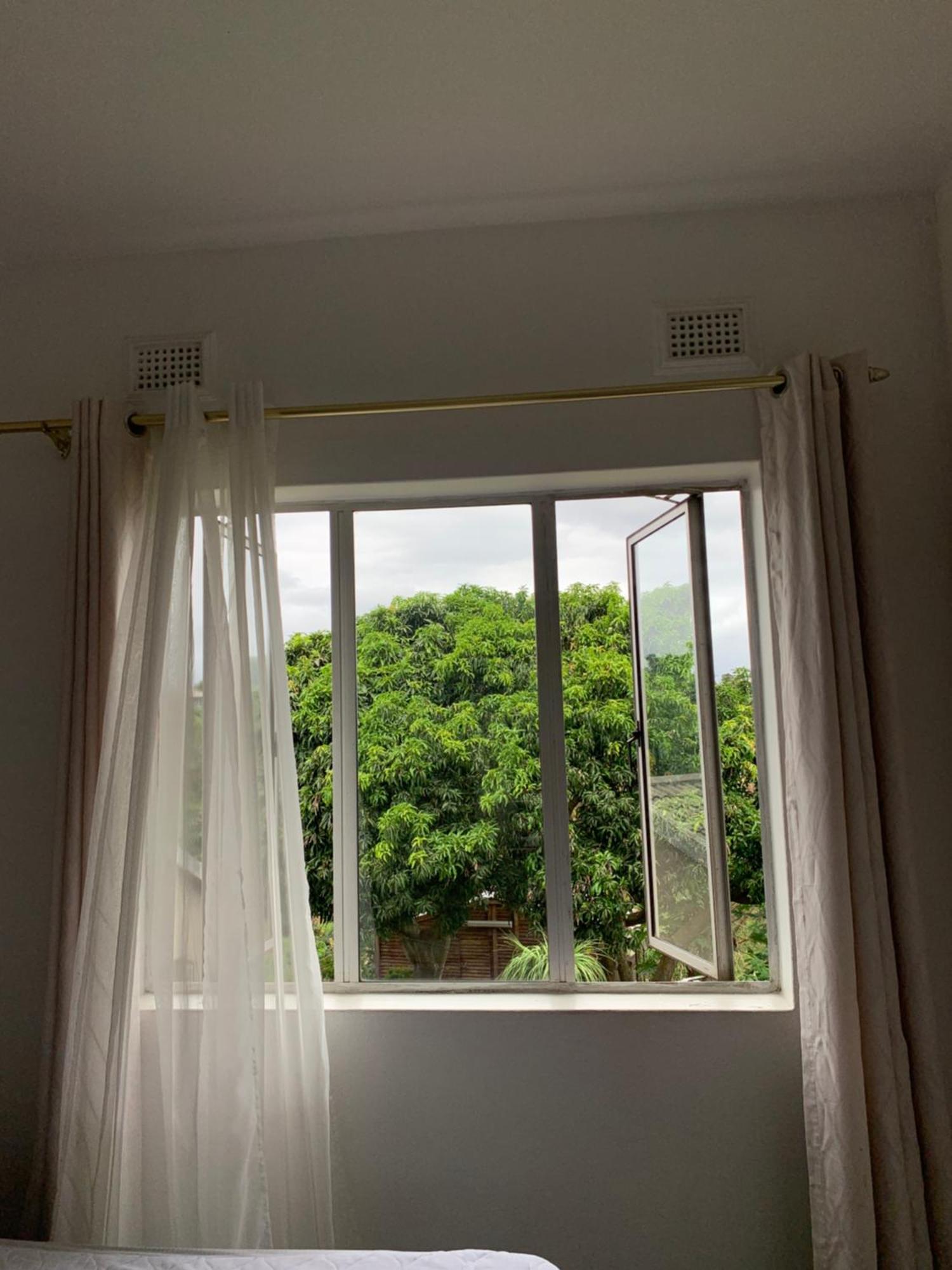 Modern Rustic Durban Apartment エクステリア 写真